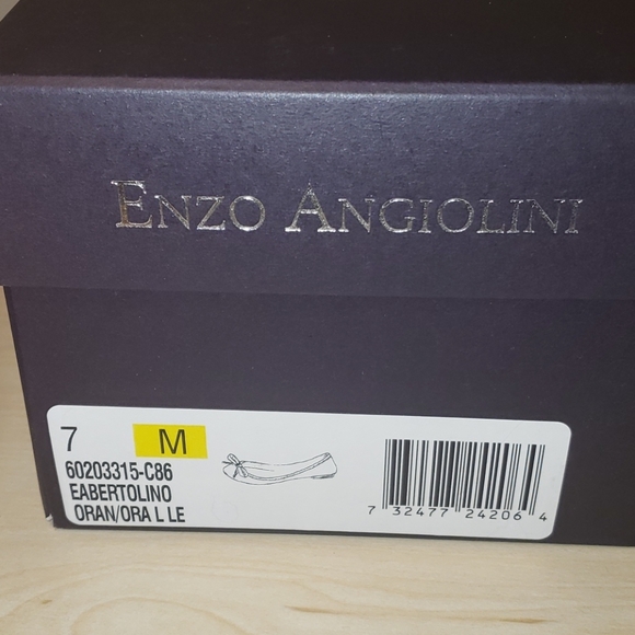 Enzo Angiolini Eabertilino flats - Picture 6 of 6